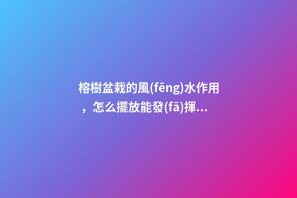 榕樹盆栽的風(fēng)水作用，怎么擺放能發(fā)揮最大效果？